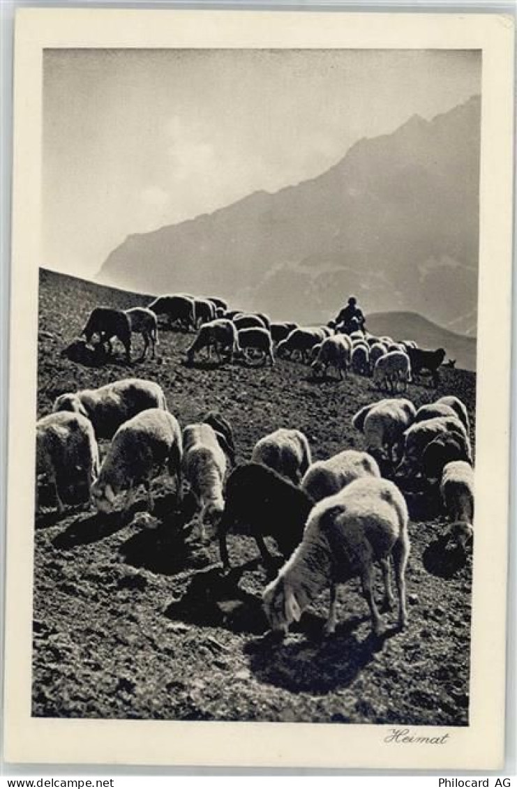 7220 Schiers - Schäfer mit Herde - 51314063