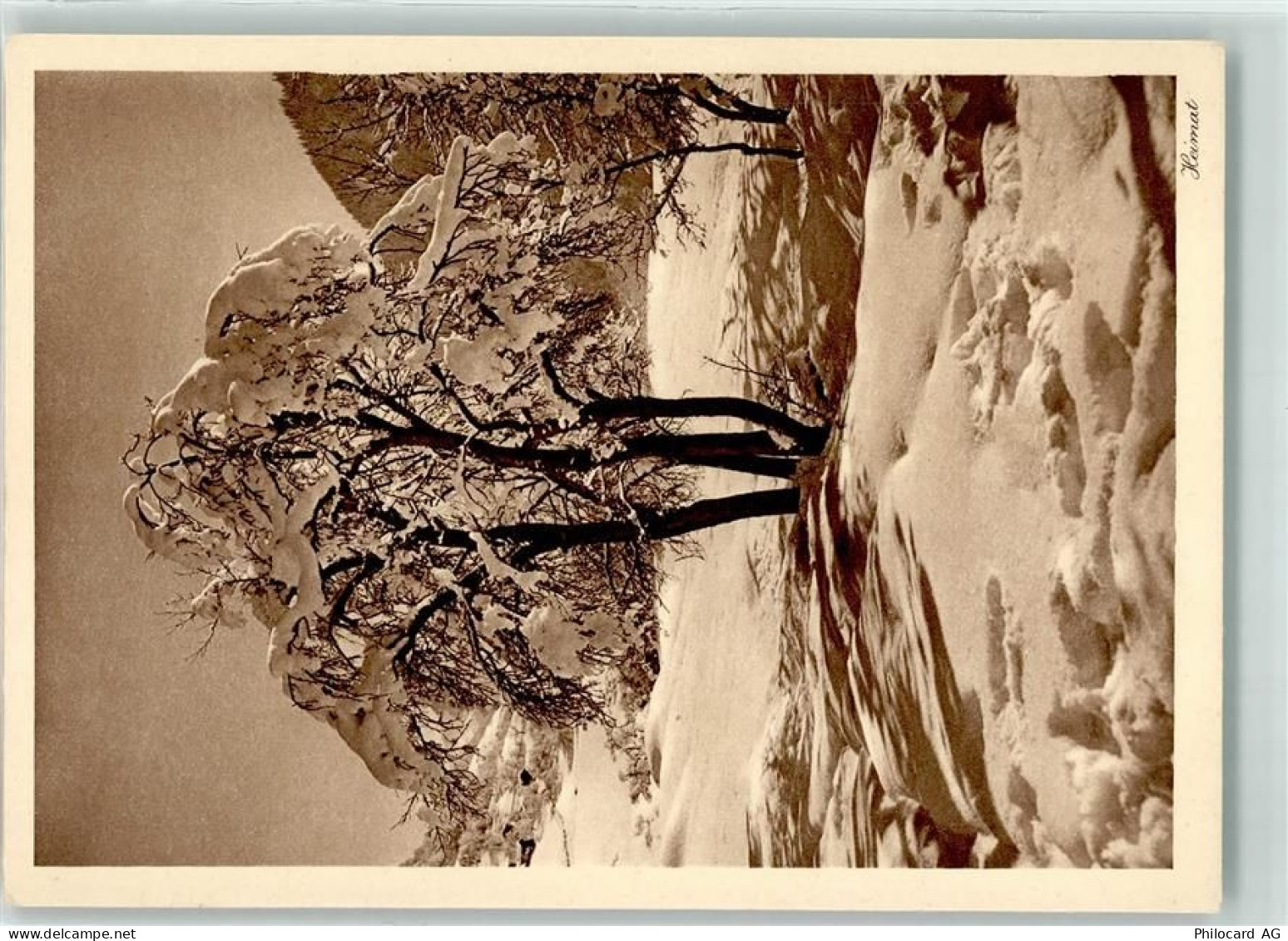 7220 Schiers - Winter - 39405024