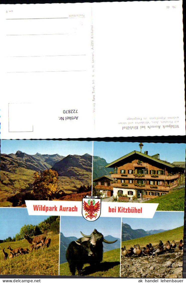 722870 Kitzbühel Wildpark Aurach Kitzbühel Bez. Kitzbühel