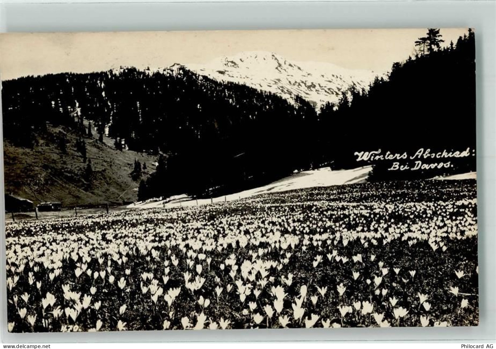 7270 Davos Platz Foto AK Winterabschied Foto Casper - 39694768