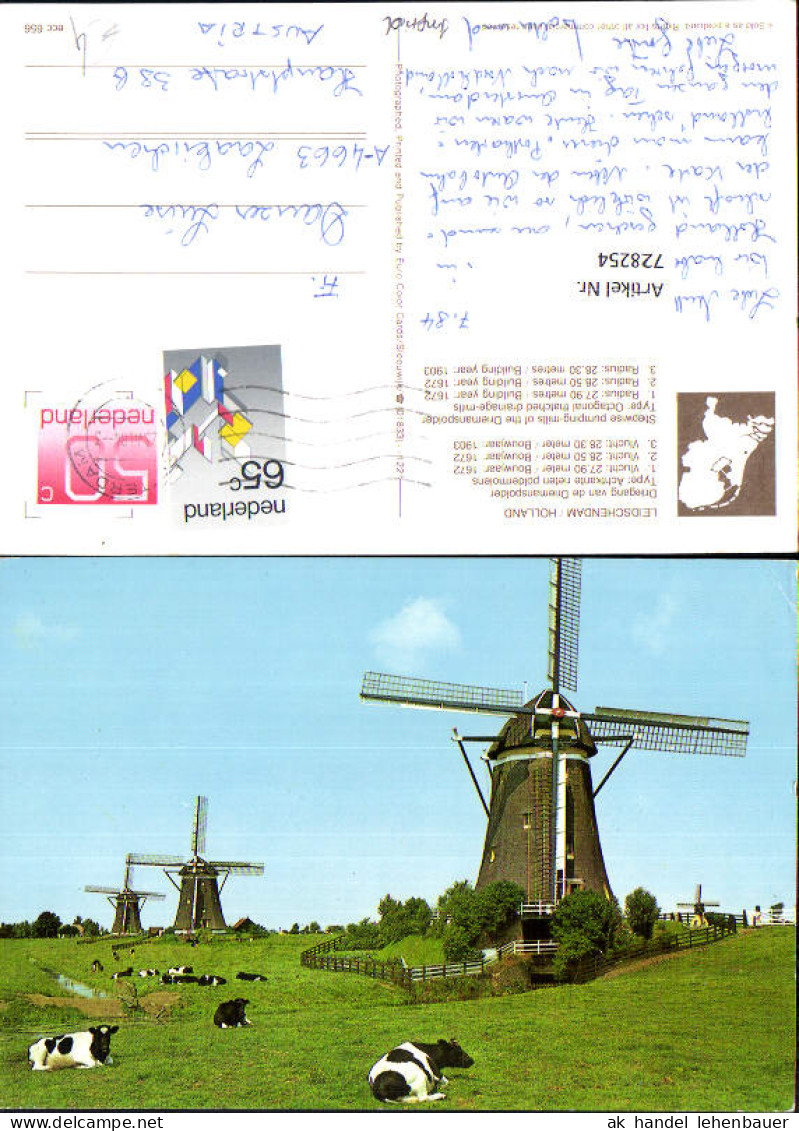728254 Leidschendam Holland Driegang van de Driemanspolder Windmühle Kühe Rinder Nederlands
