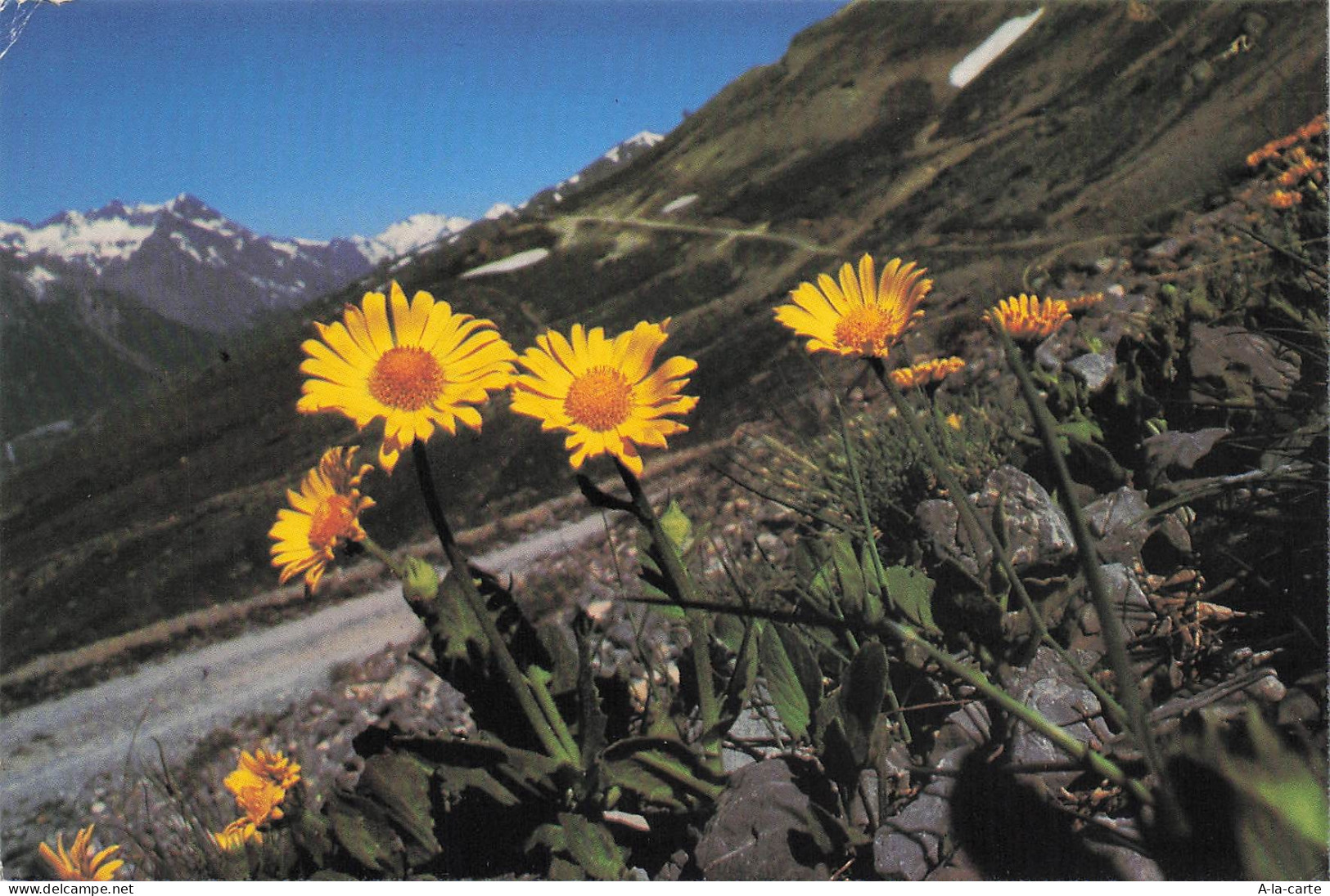 73 COURCHEVEL COURCHEVEL