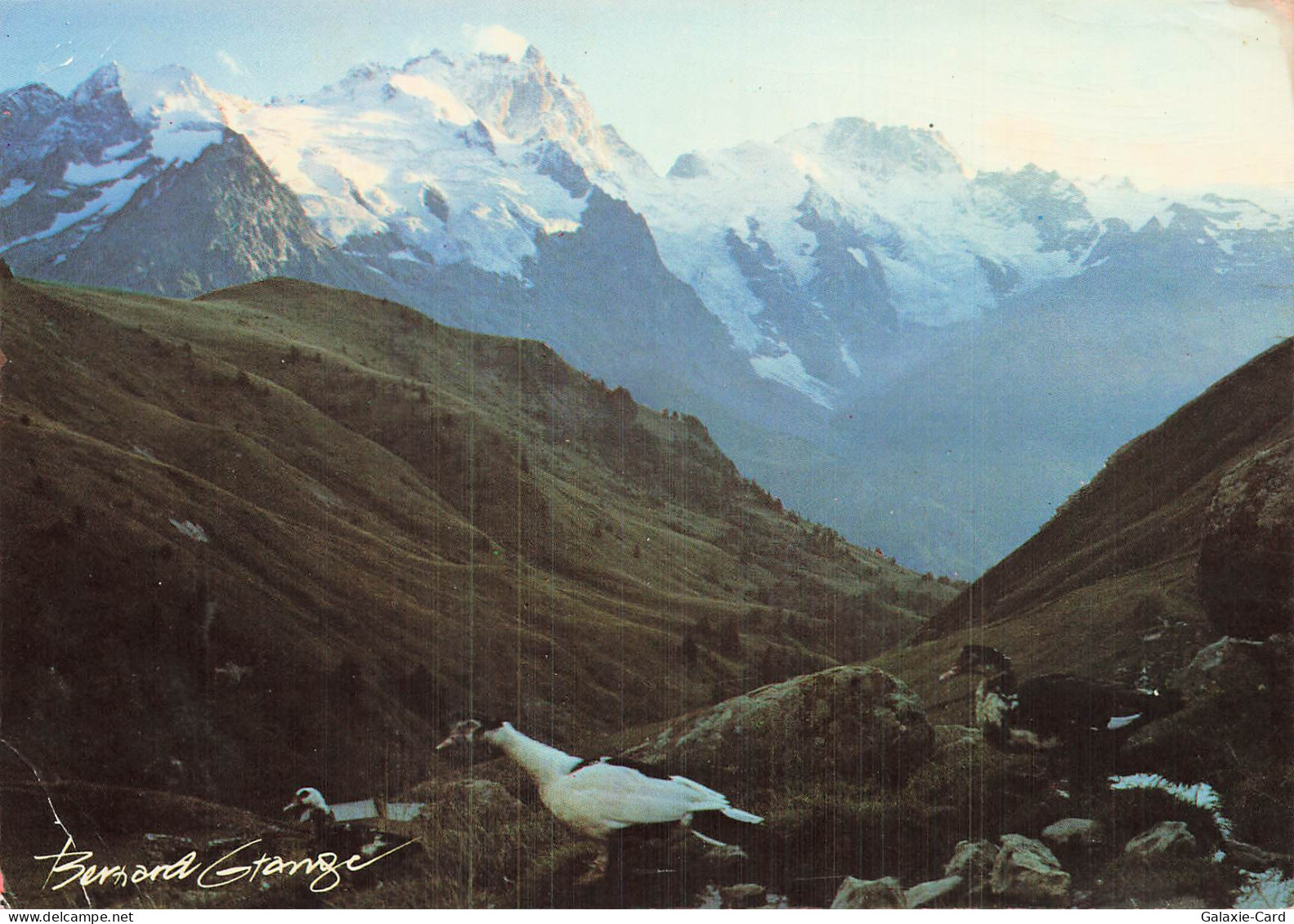 73 LES ARCS LES ARCS 1800