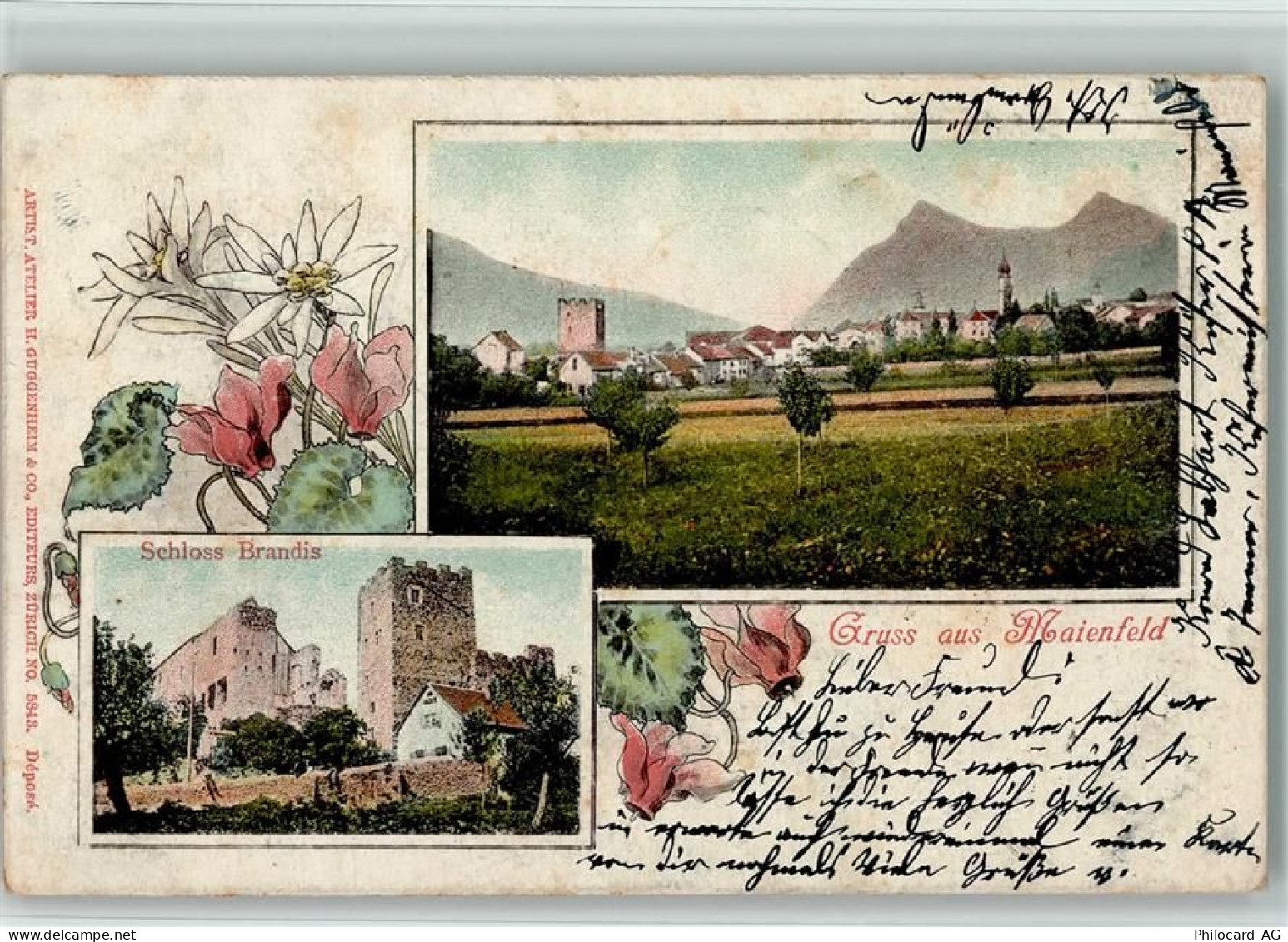 7304 Maienfeld - 1902 Schloss Brandis Edelweiß Alpenveilchen - 13116965