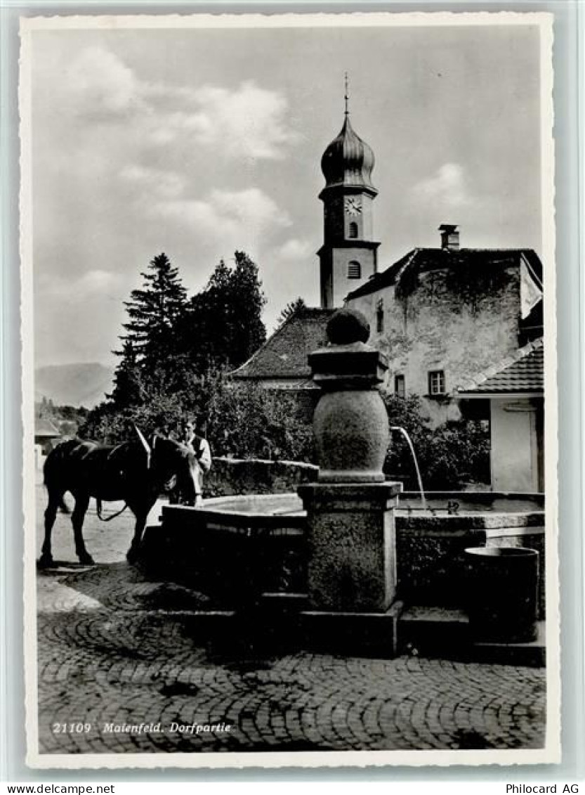 7304 Maienfeld - Dorfpartie Brunnen Pferd - 10161502