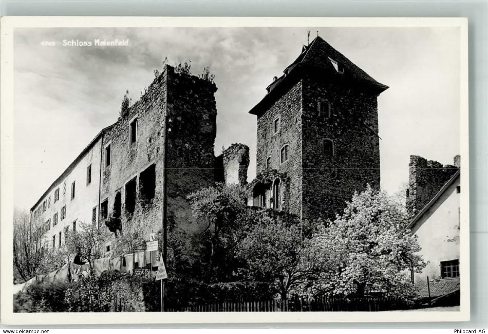 7304 Maienfeld Foto AK Schloss - 38024408
