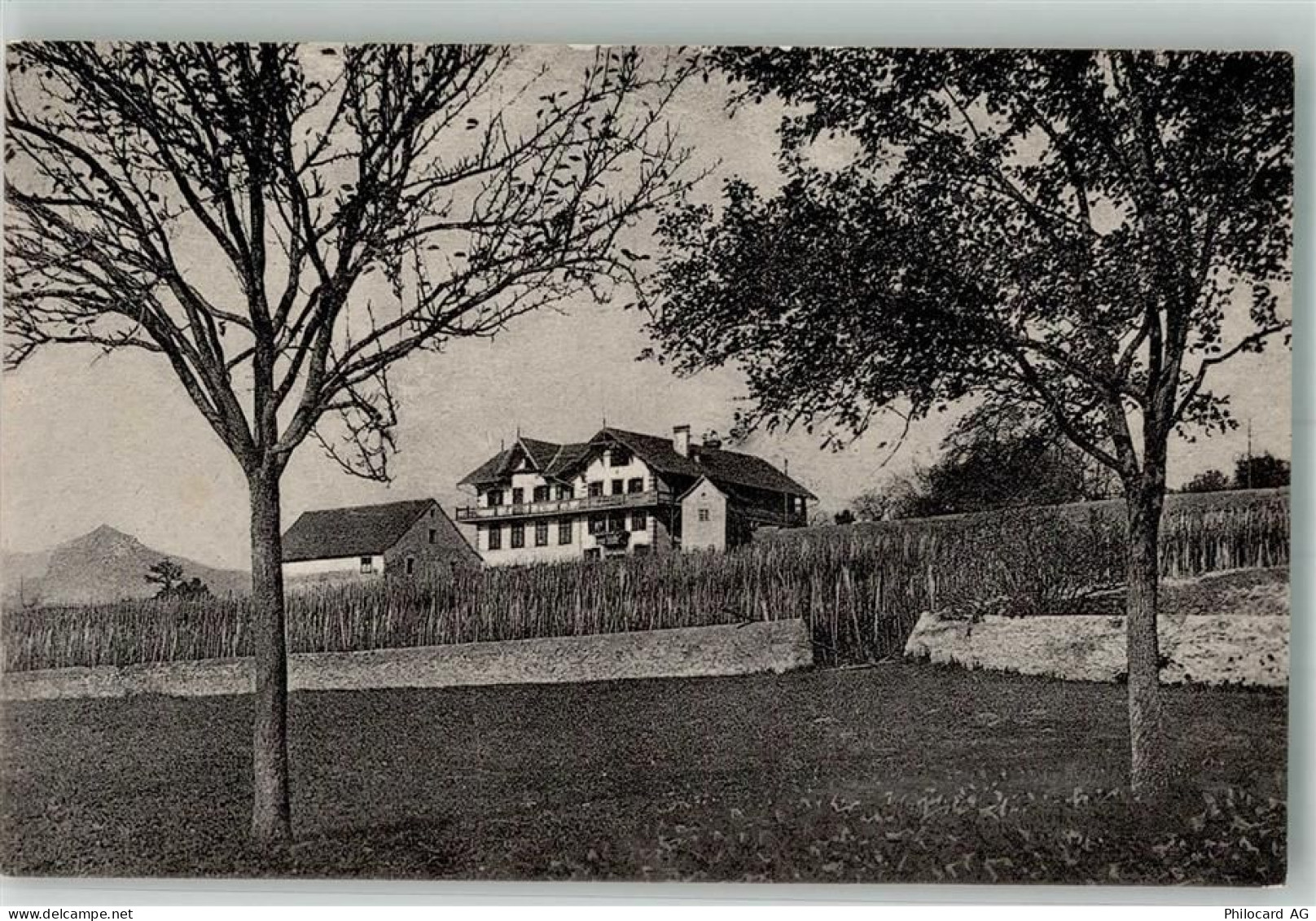 7307 Jenins 1918 Foto AK Gasthaus zur Bündte - 13306272