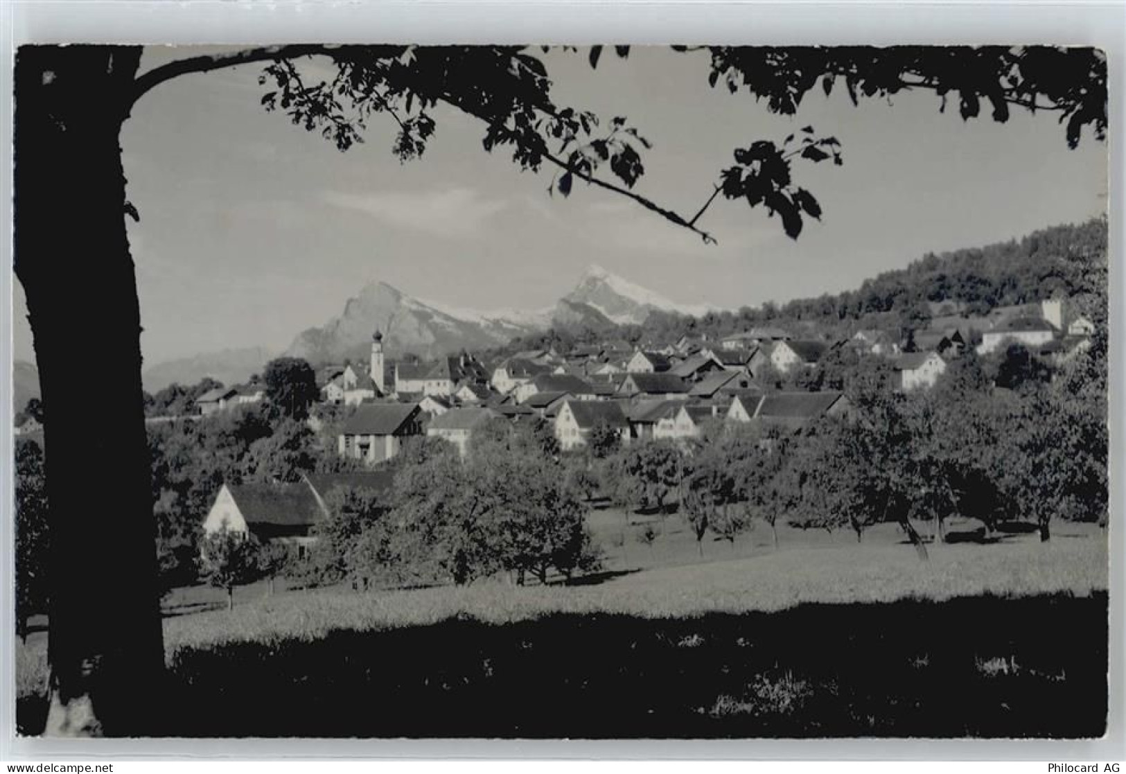 7307 Jenins - 50438815