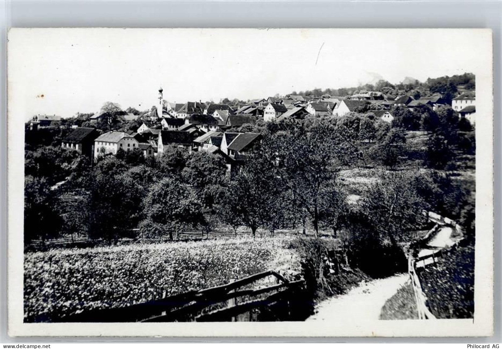 7307 Jenins - 51313610