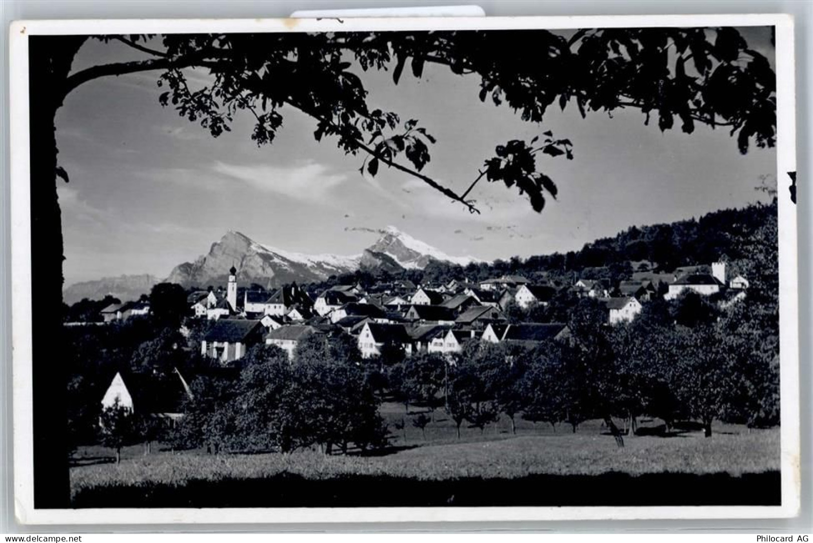 7307 Jenins - 51313779