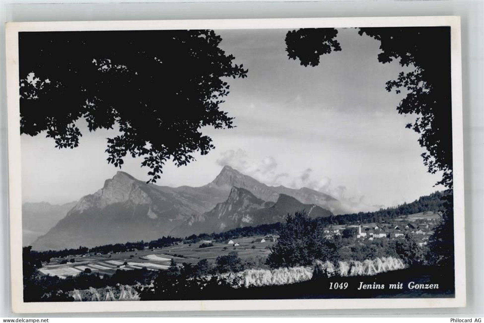 7307 Jenins - 51314355