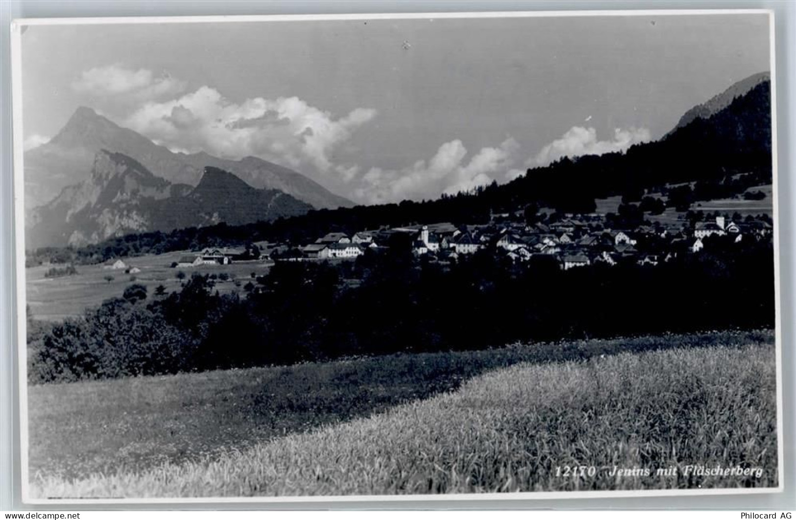 7307 Jenins - Blick mit Fläscherberg - 51313774