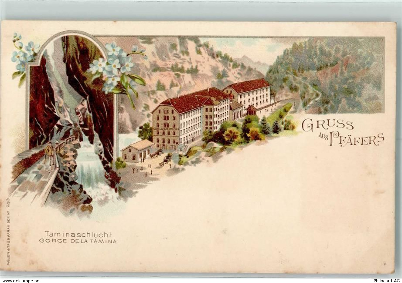 7312 Pfäfers Lithographie Taminaschlucht - 13223900