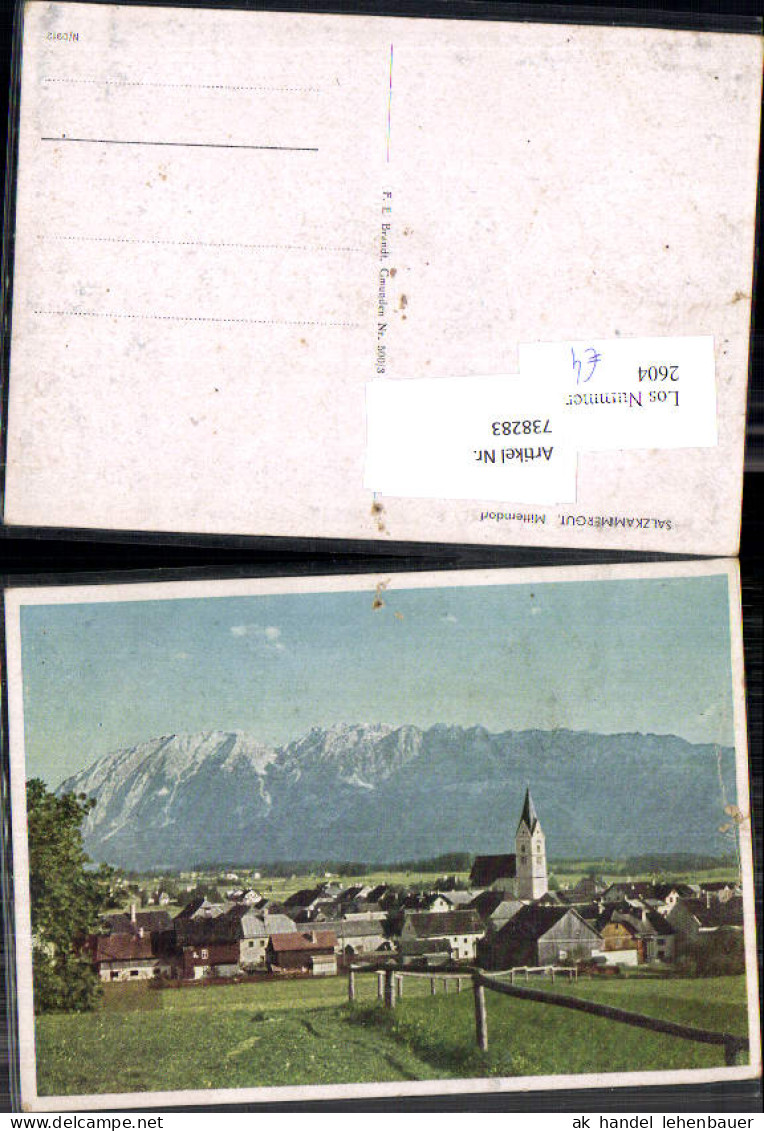 738283 Salzkammergut Mitterndorf Bad Mitterndorf