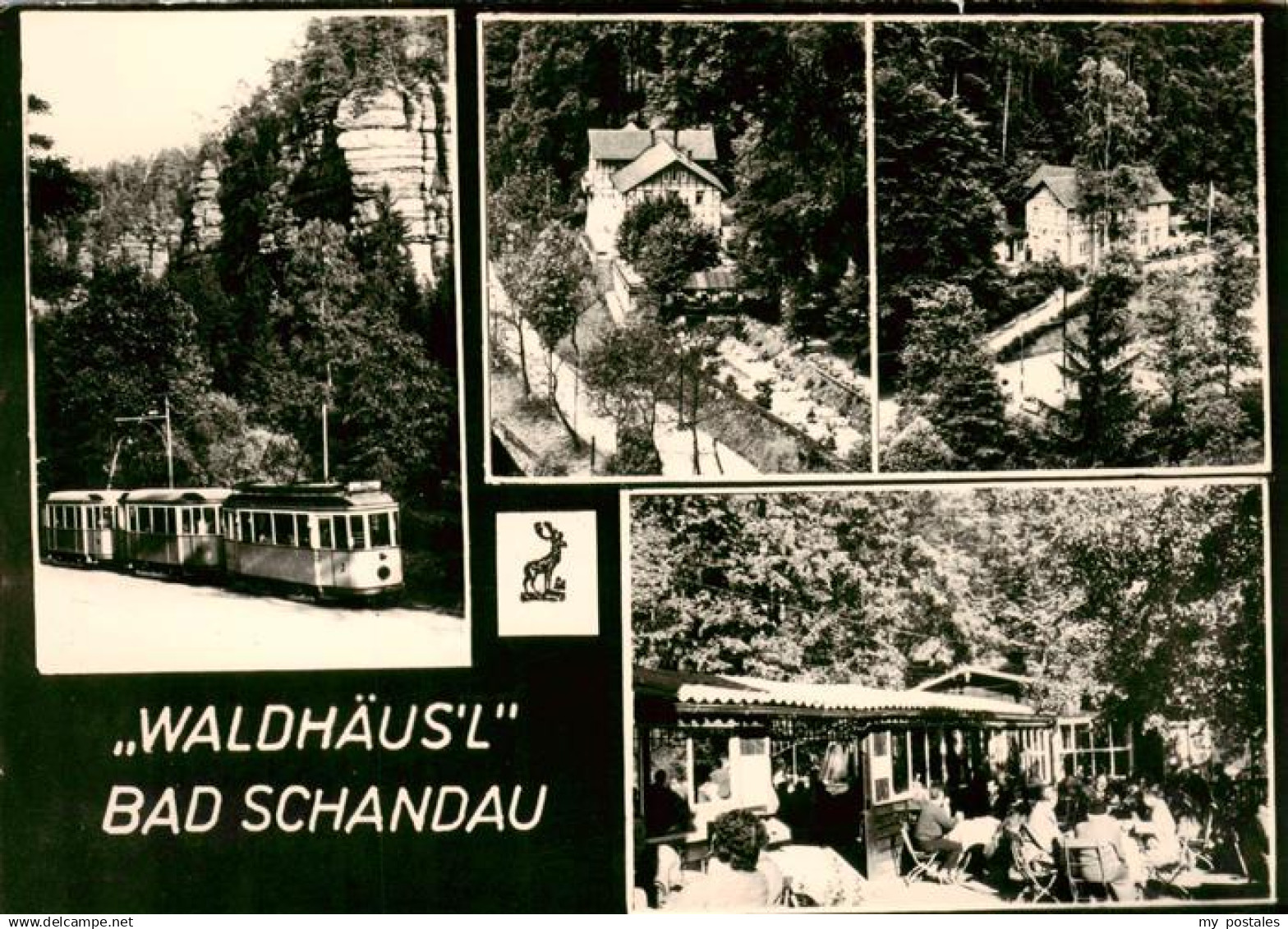73892476 Bad Schandau Strassenbahn Gaststaette Waldhaeusl Details Bad Schandau