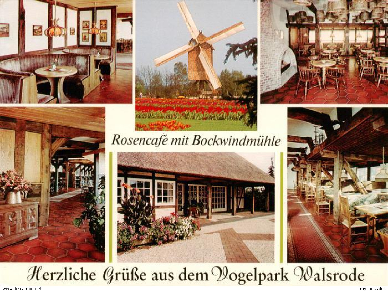 73925257 Walsrode Lueneburger Heide Vogelpark Walsrode Rosencafe mit Bockwindmue