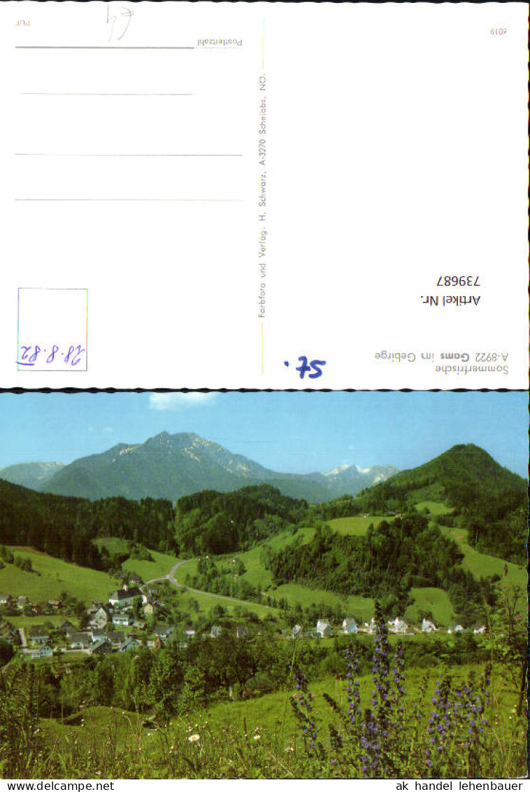 739687 Bad Gams Gams im Gebirge Ansicht Frauenthal Hieflau
