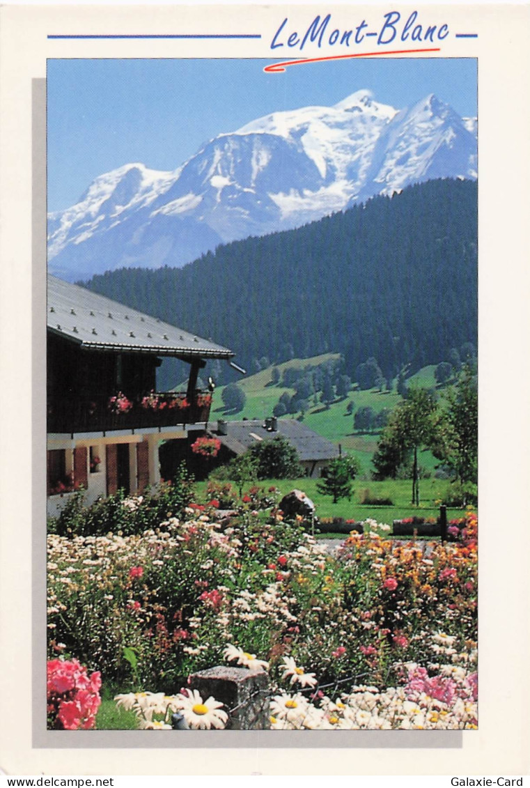 74 ABONDANCE ABONDANCE