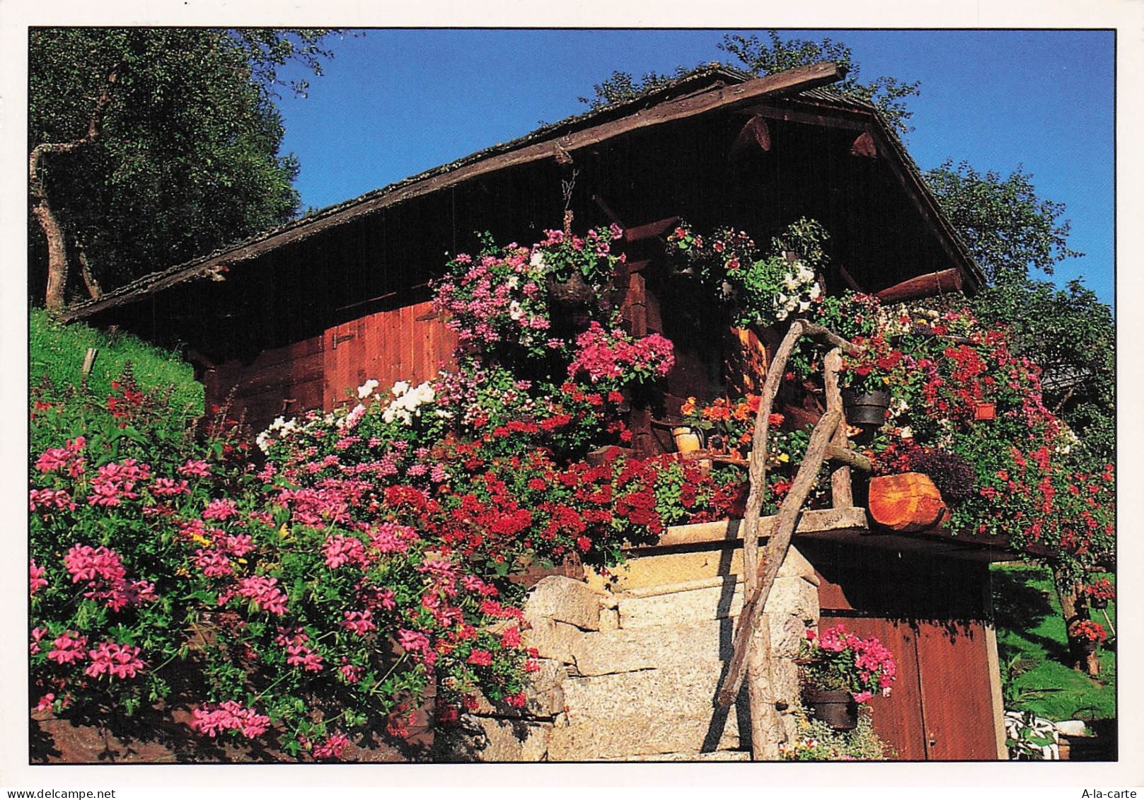 74 ABONDANCE ABONDANCE