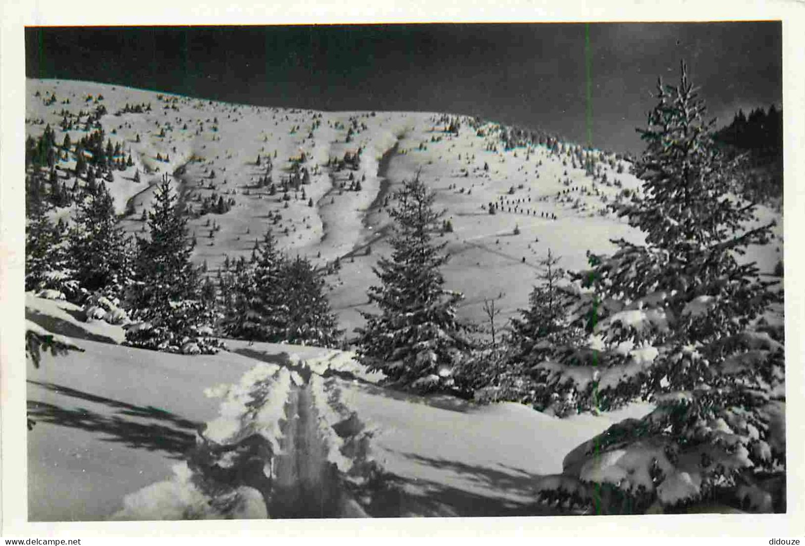 74 - Abondance - Col de l'Ecueil - Hiver Neige  - CPM - Voir Scans Recto-Verso