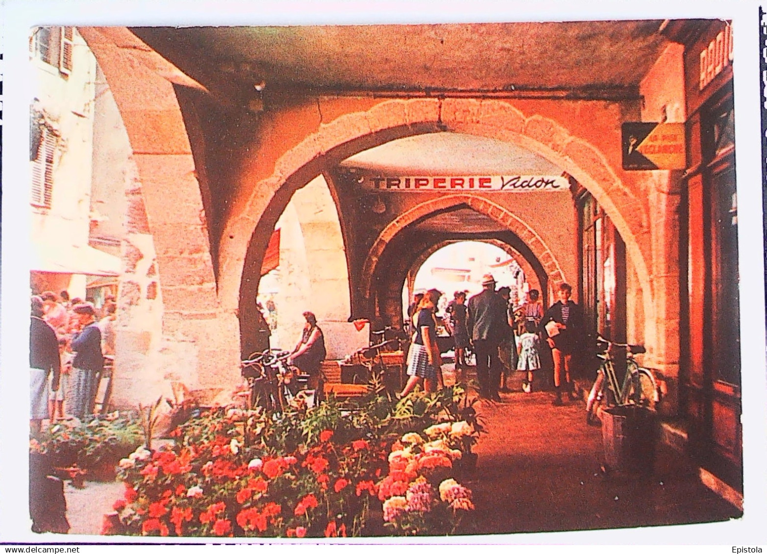 ► (74) Annecy -  le Vieux  Quartier - Epicerie Fleuriste vélo. 1965