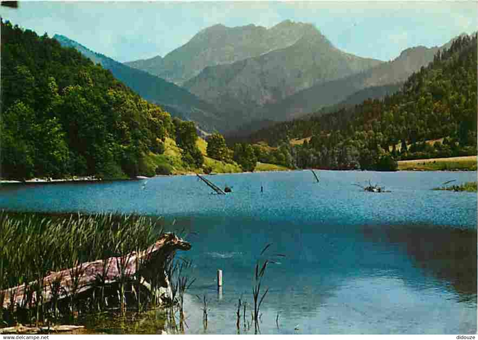 74 - Bellevaux - Le Lac - Le Roc d'Enfer - CPM - Voir Scans Recto-Verso