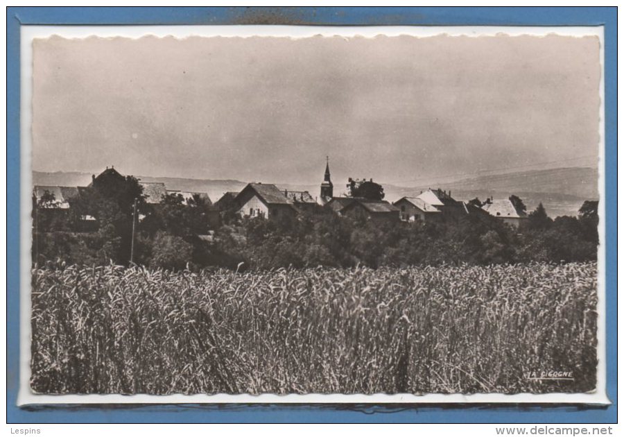 74 - BONNE sur MENOGE -- Vue de la haute bonne -1958