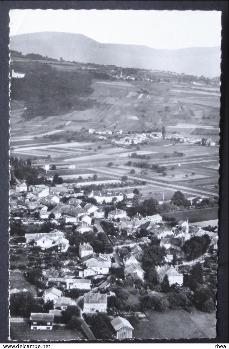 74 Douvaine vue aerienne