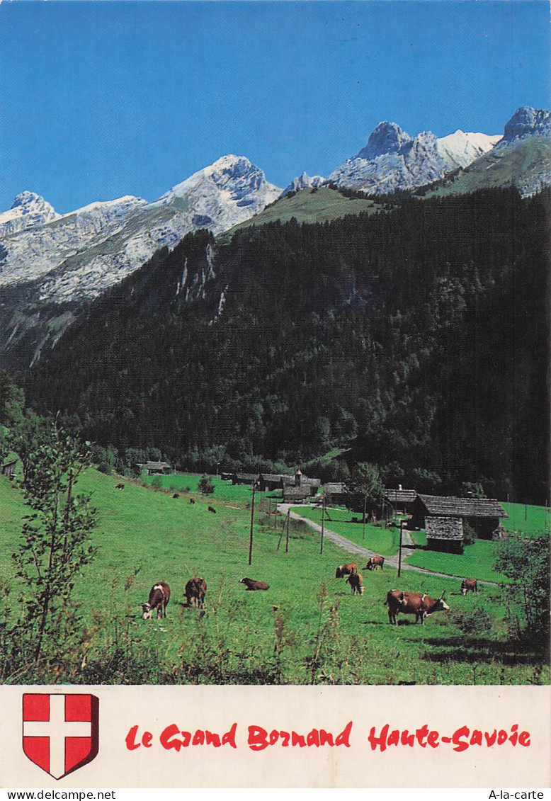 74 LE GRAND BORNAND LE GRAND BORNAND HAUTE SAVOIE