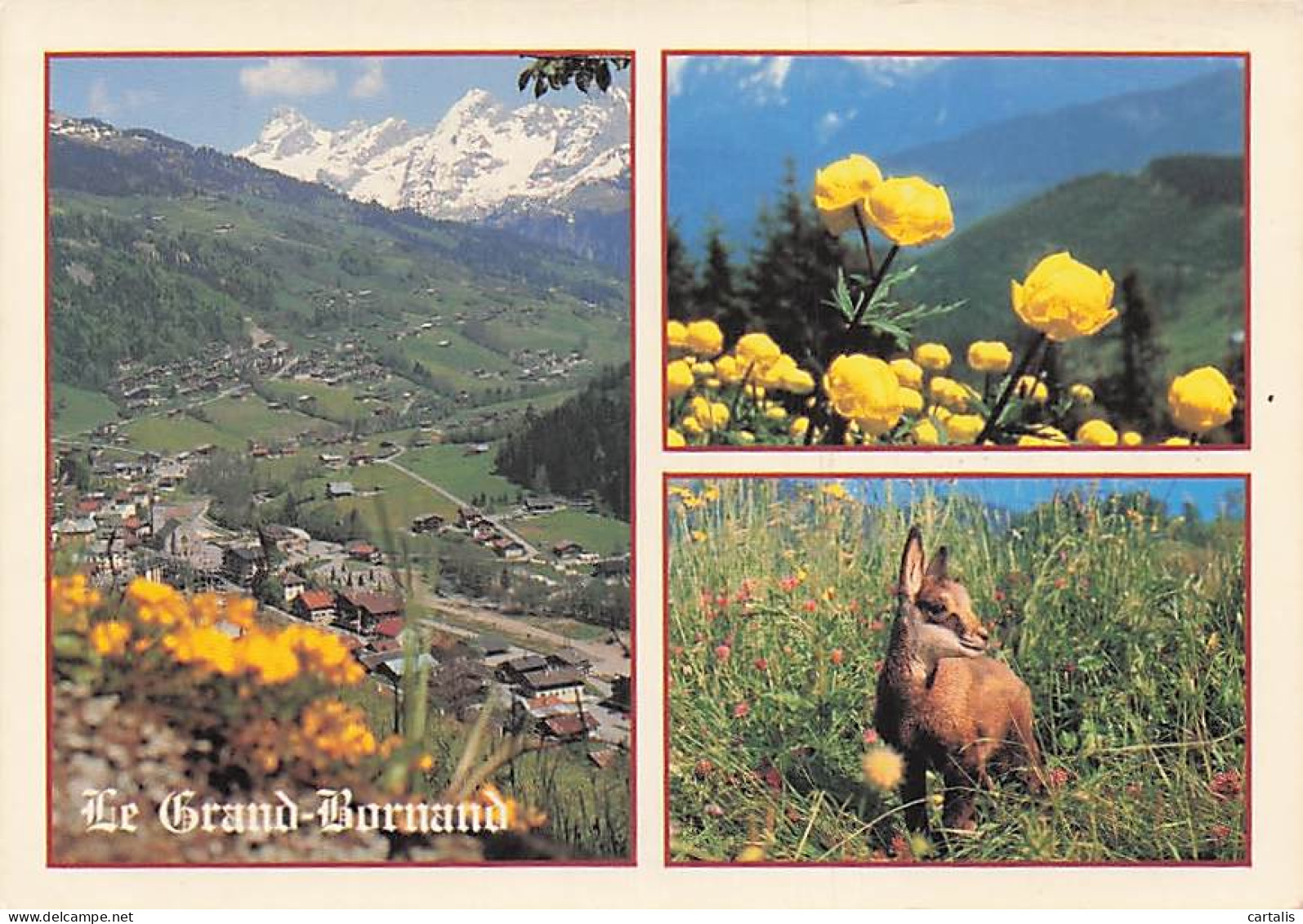 74-LE GRAND BORNAND-LE GRAND BORNAND-N°7095-C/0073