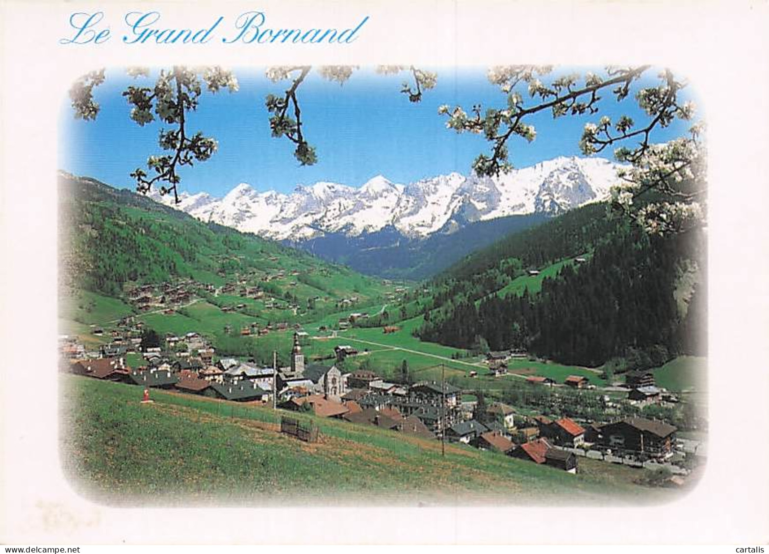 74-LE GRAND BORNAND-LE GRAND BORNAND-N°7095-D/0143