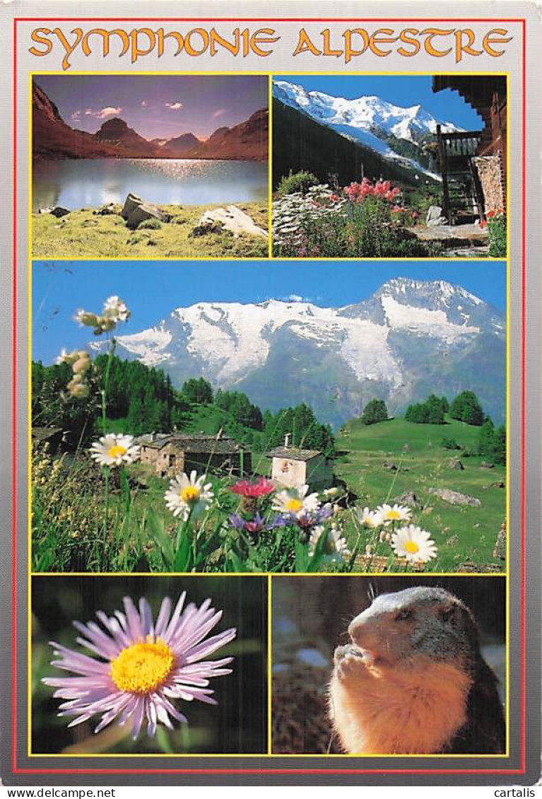 74-LE GRAND BORNAND-LE GRAND BORNAND-N°7124-A/0195
