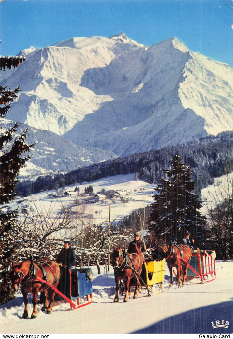 74 LE GRAND BORNAND SUPER GRAND BORNAND