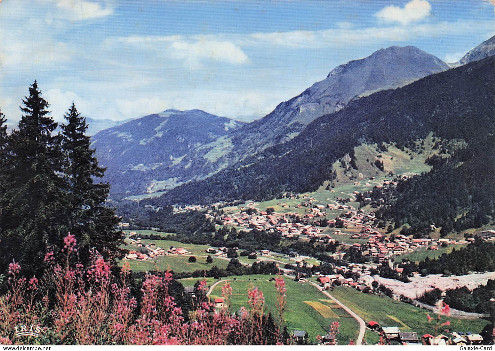 74 LES CONTAMINES MONTJOIE LES CIMES