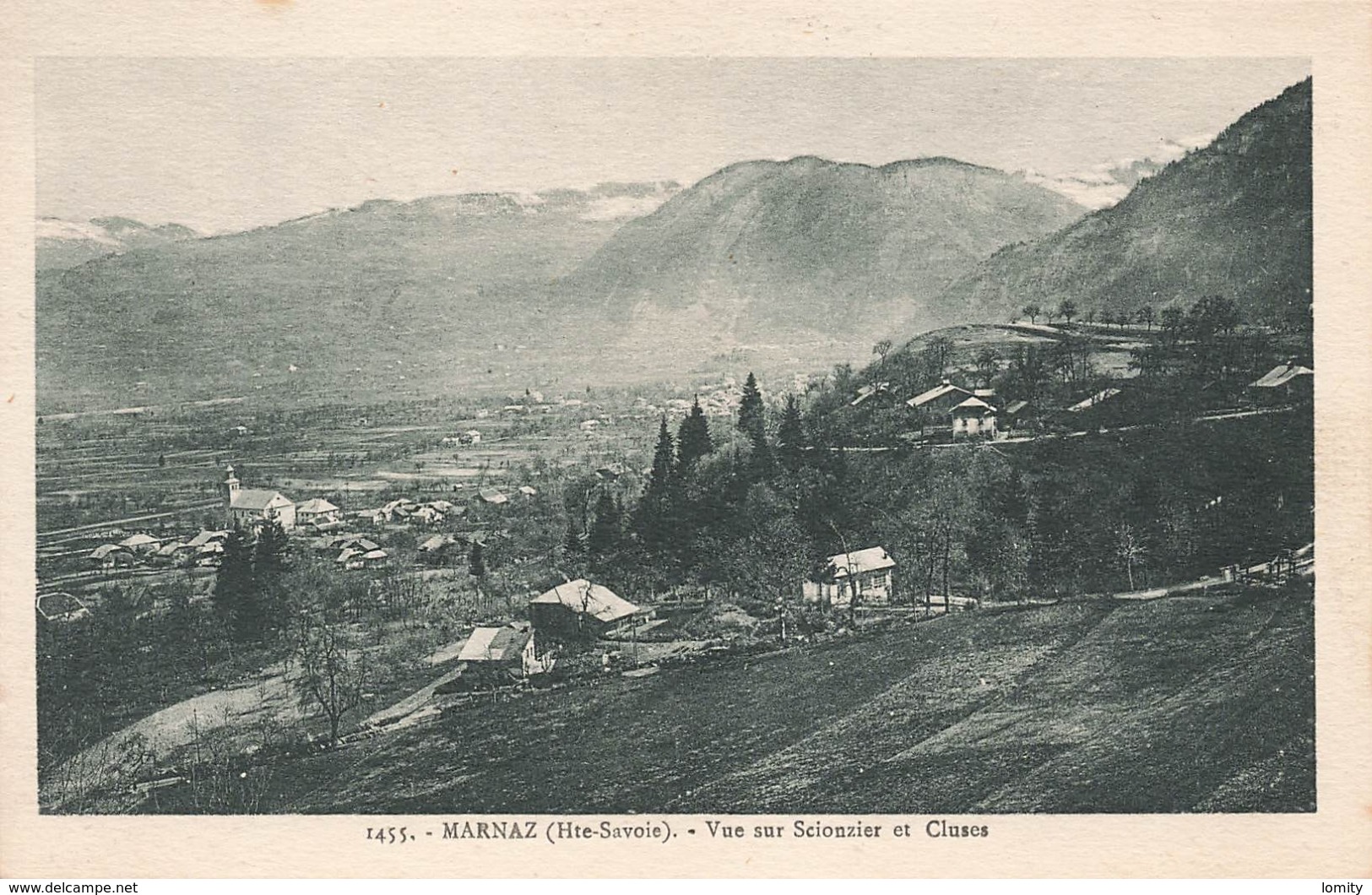 74 marnaz vue sur scionzier et cluses