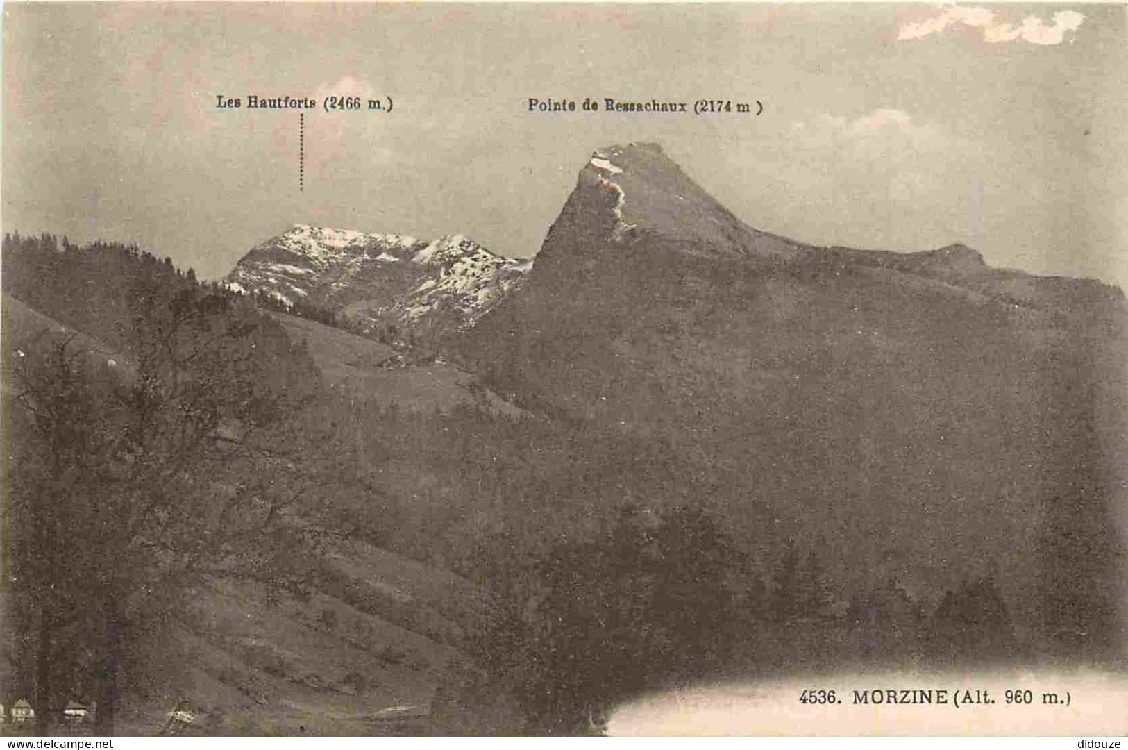 74 - Morzine - CPA - Voir Scans Recto-Verso