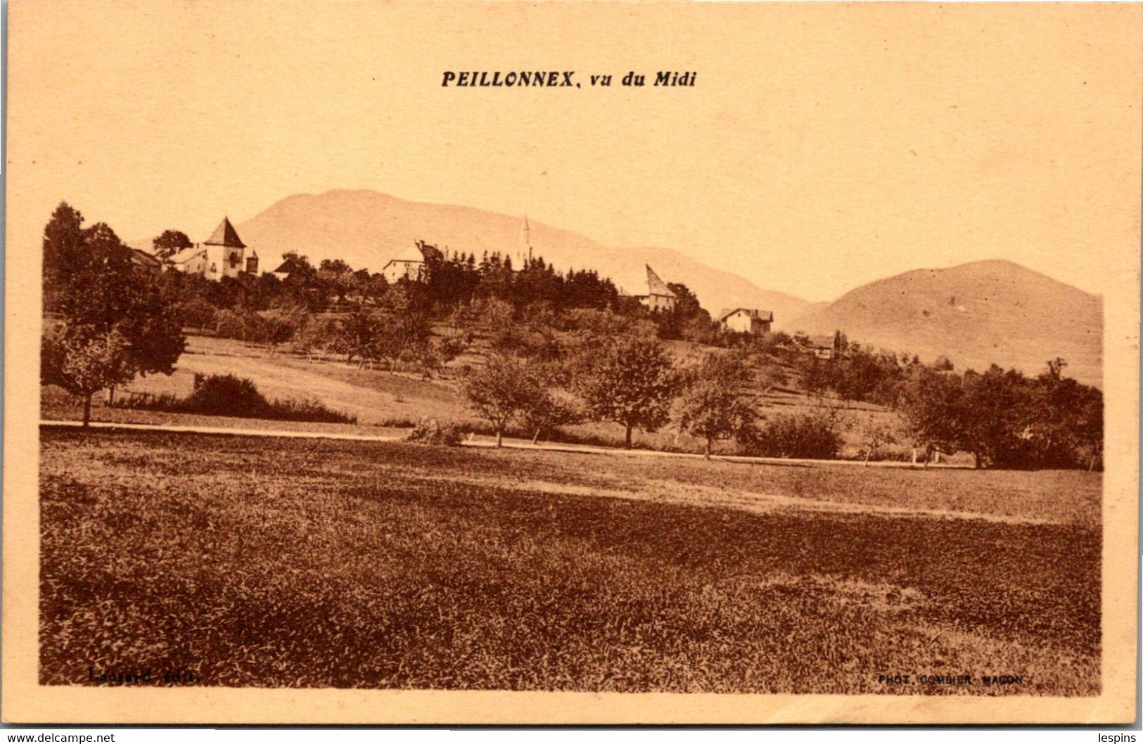 74 - PEILLONNEX -- Vu du Midi
