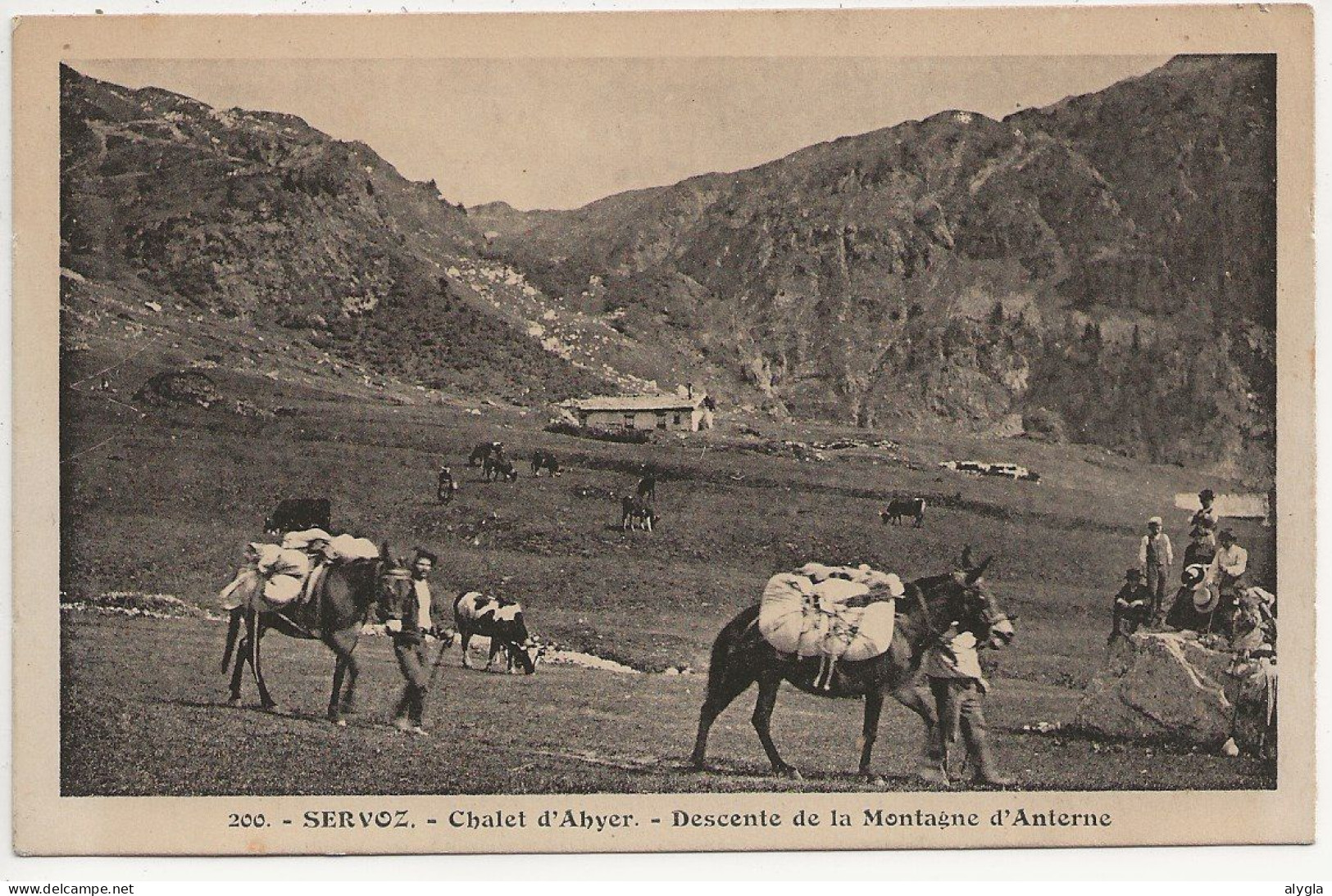 74 - SERVOZ - transports à mulets vers les chalets d'Ahyer - éd. Morand n° 200