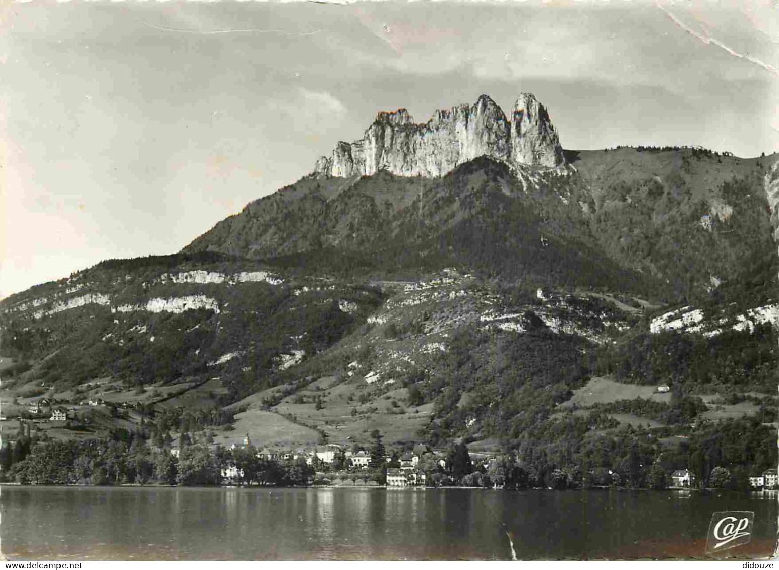 74 - Talloires - Lac d'Annecy - Talloires - Vue prise du large - Mention Photographie Véritable - Carte dentelée - CPSM
