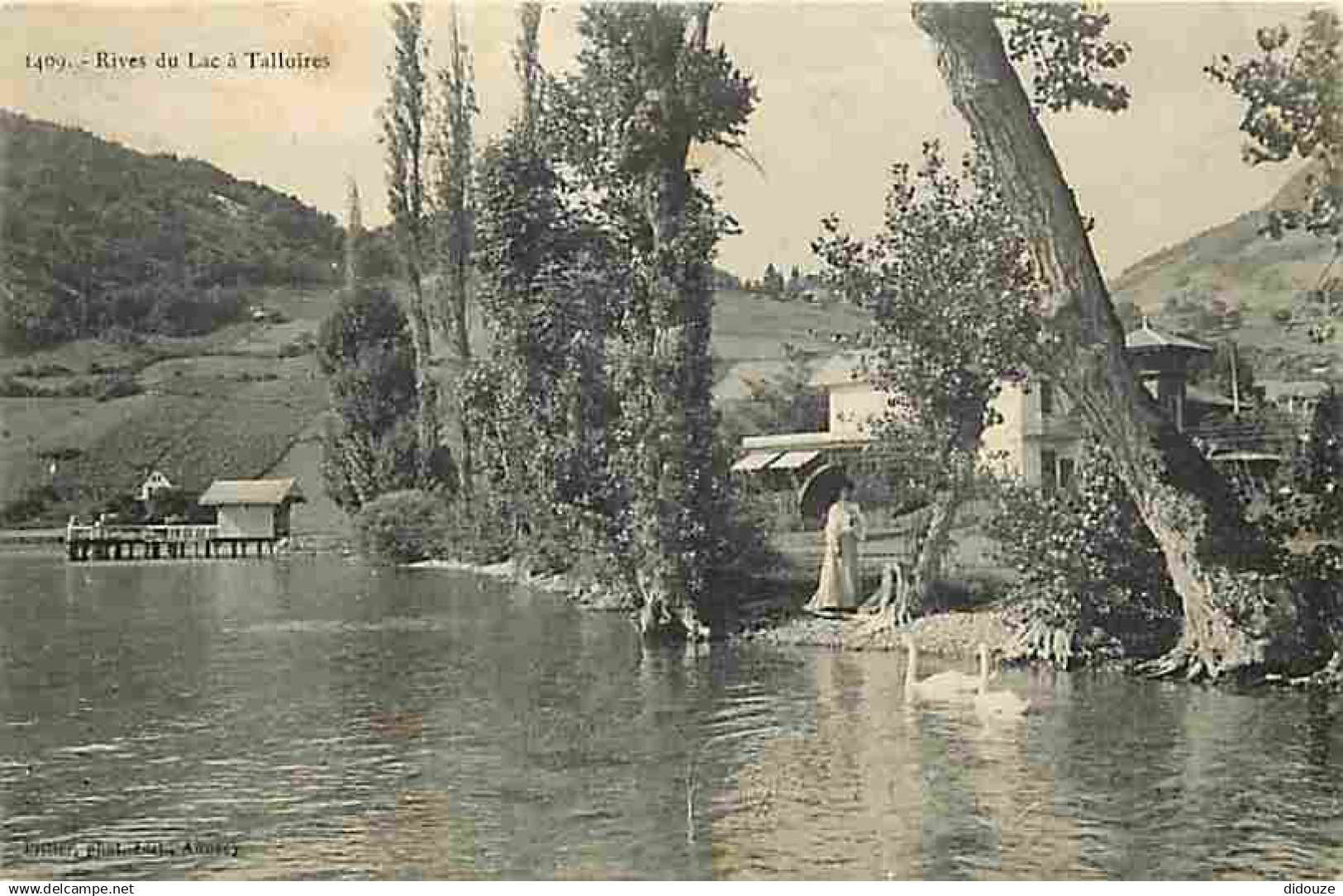 74 - Talloires - Rives du Lac - Animée - CPA - Voir Scans Recto-Verso