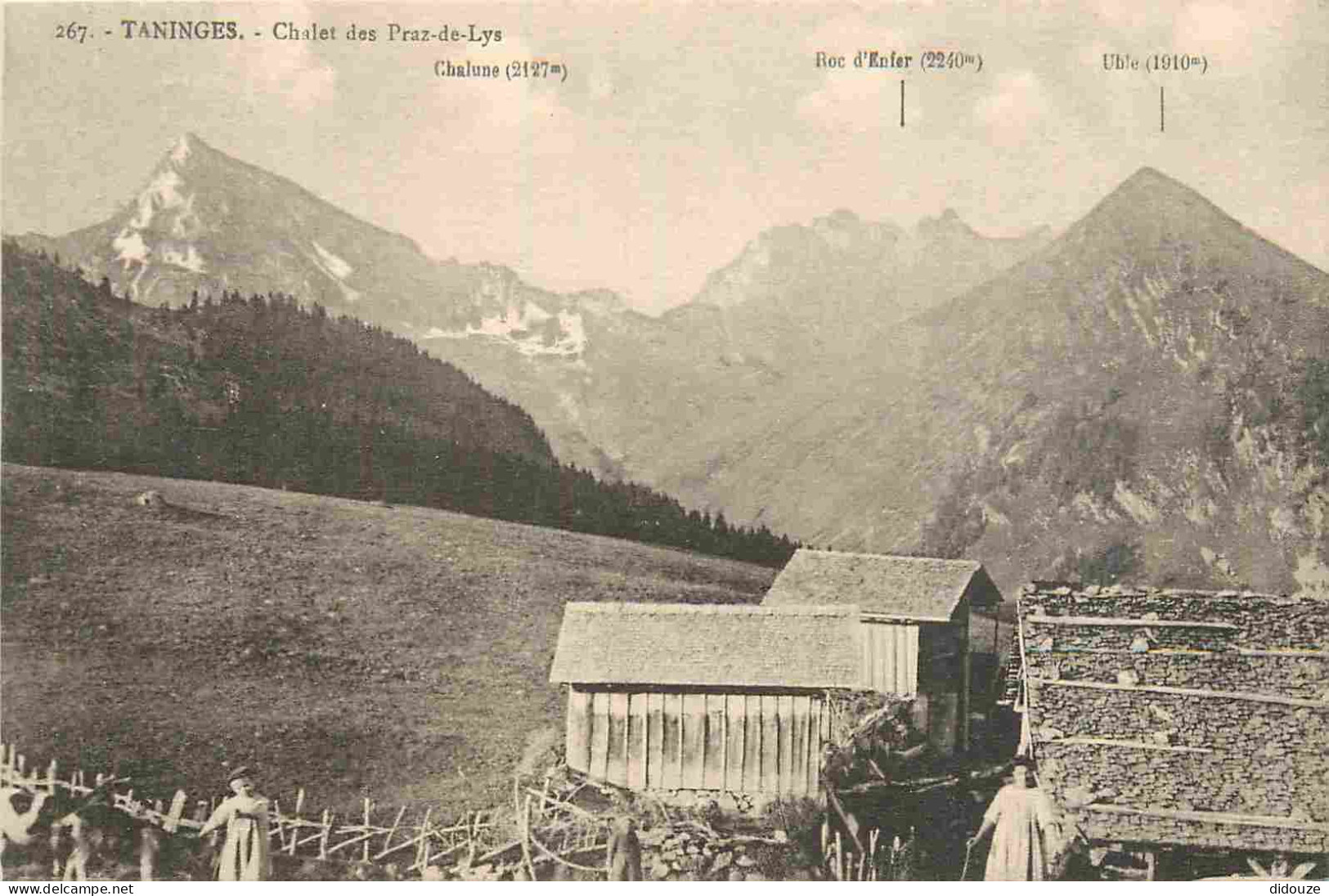 74 - Taninges - Chalet des Praz de lys - Animée - CPA - Voir Scans Recto-Verso