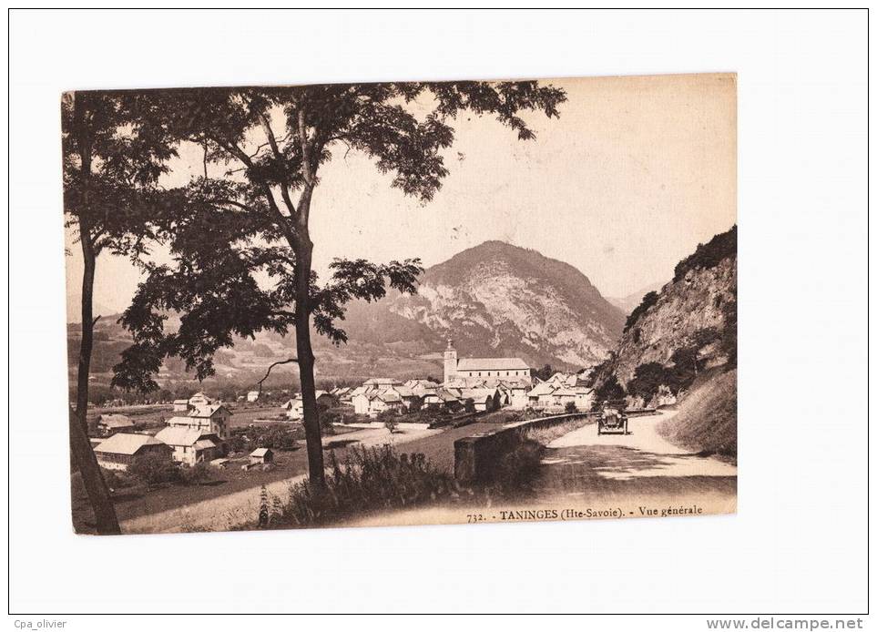 74 TANINGES Vue Générale, ed Fauraz 732, 1924