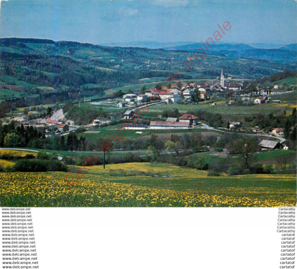 74.   THORENS GLIERES .  Vue générale .