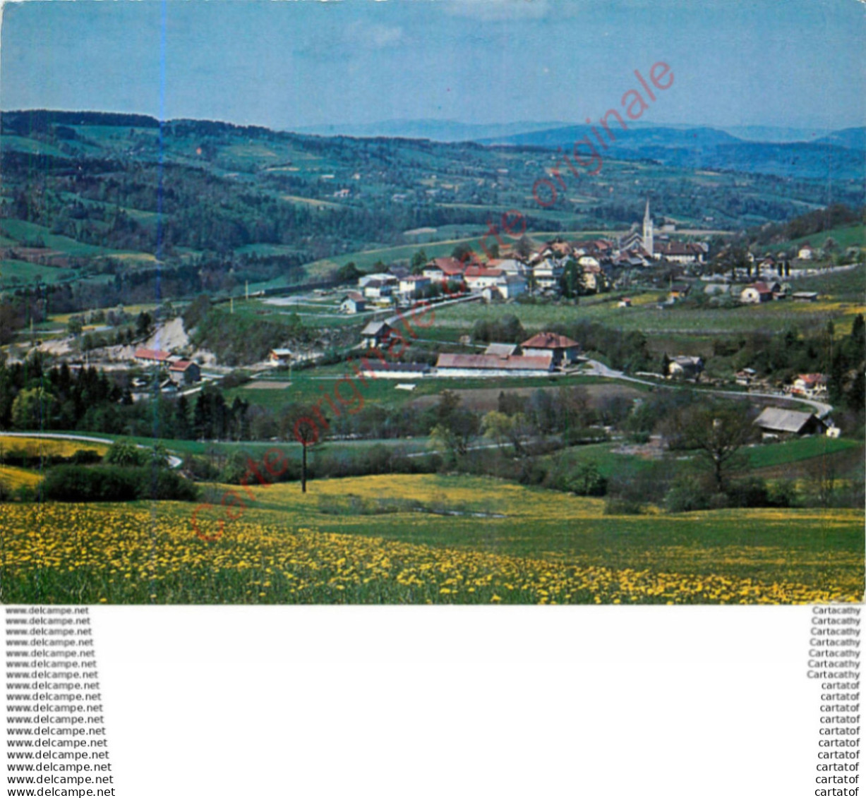 74.   THORENS GLIERES .  Vue générale .