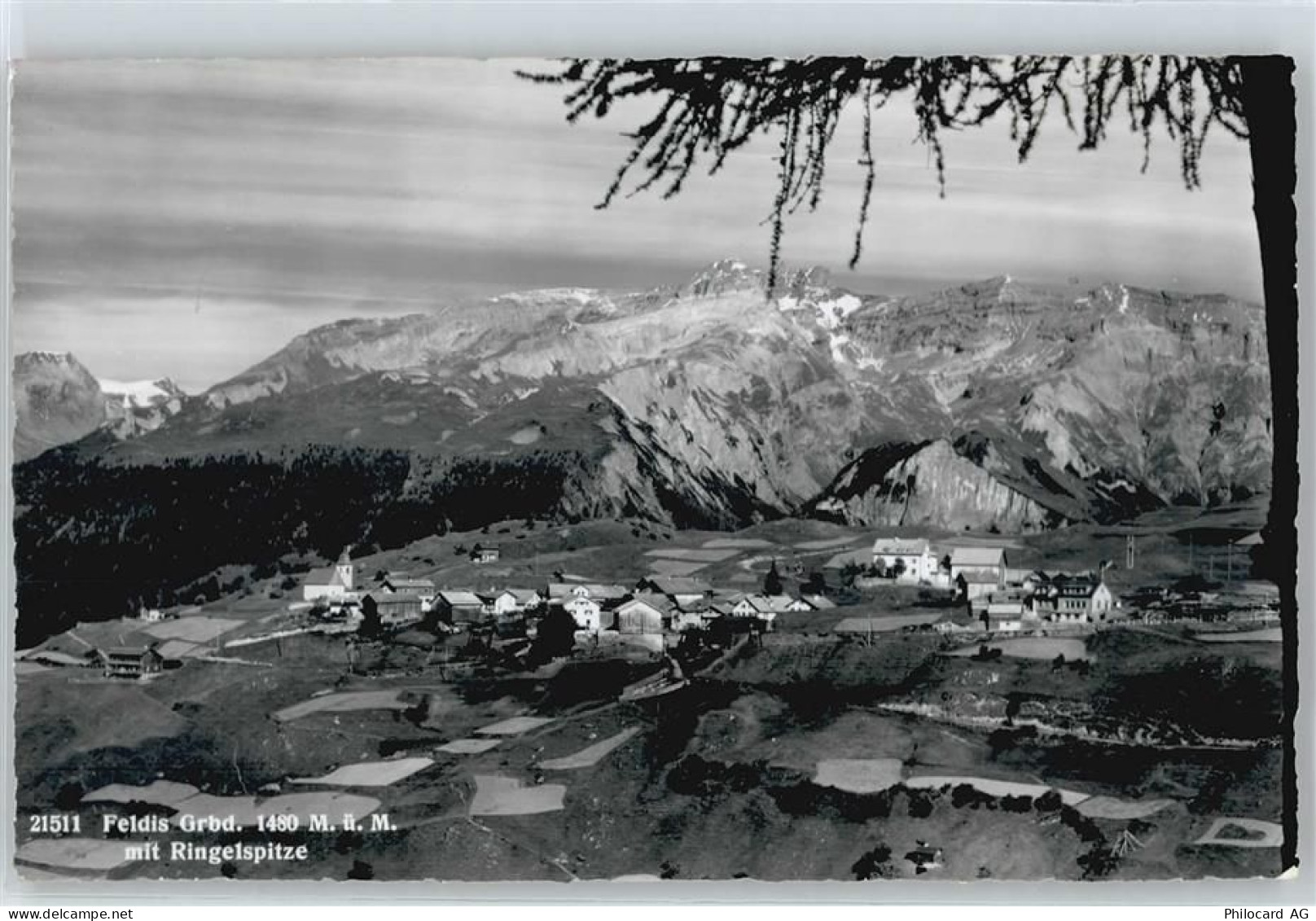 7404 Feldis/Veulden - 50412815