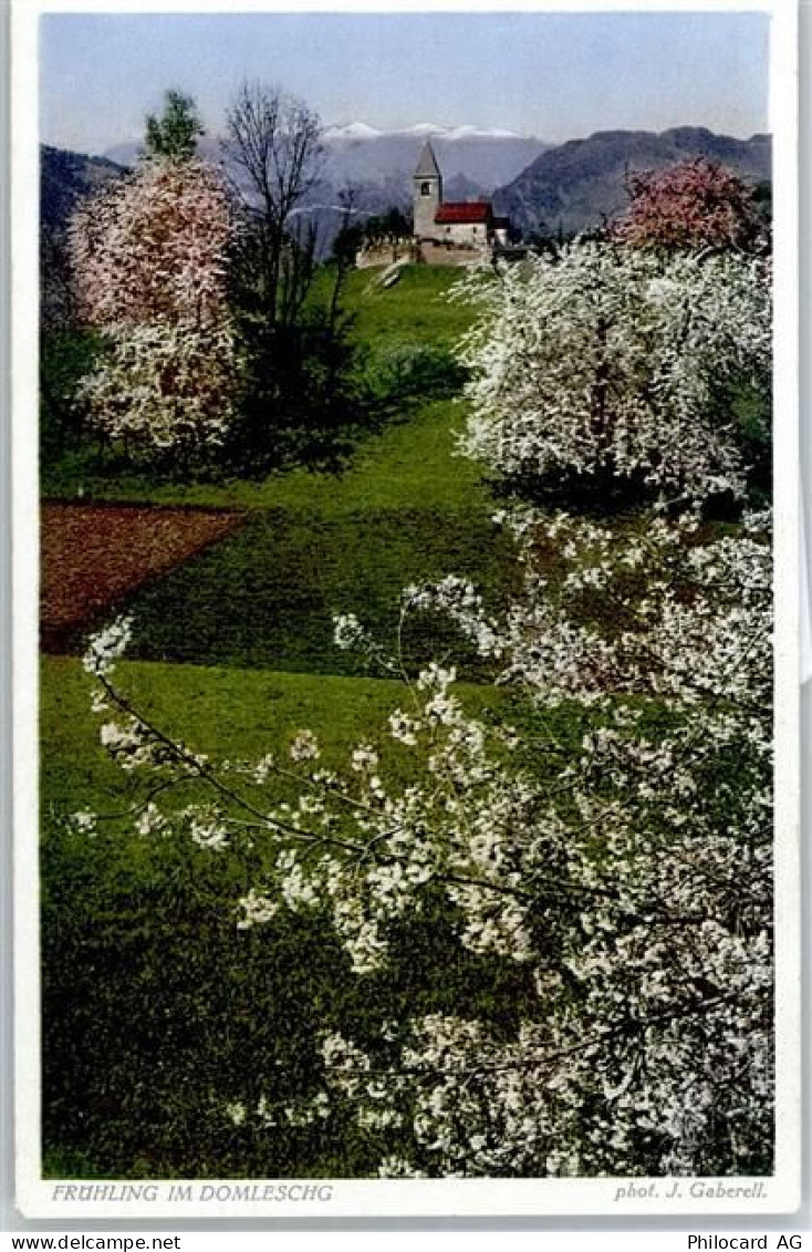 7411 Sils im Domleschg - Frühling - 50776830