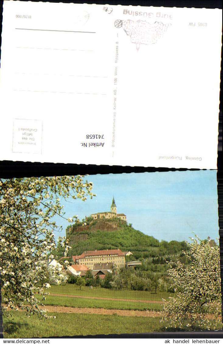 741658 Güssing m. Burg Baumblüte i. Vordergrund