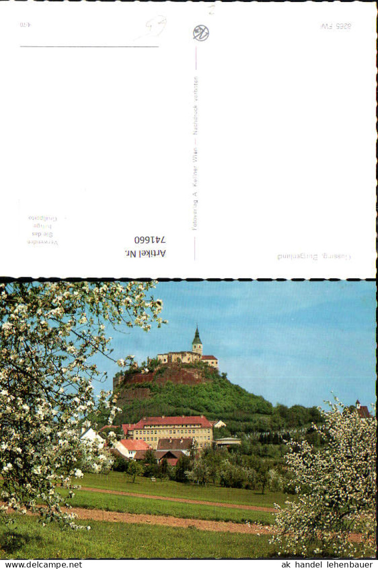 741660 Güssing m. Burg Baumblüte i. Vordergrund