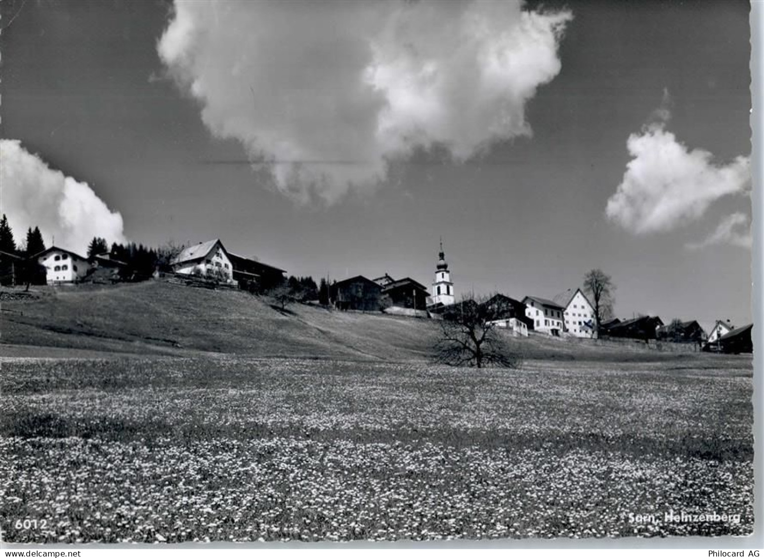 7423 Sarn - Heinzenbereg - 50775315