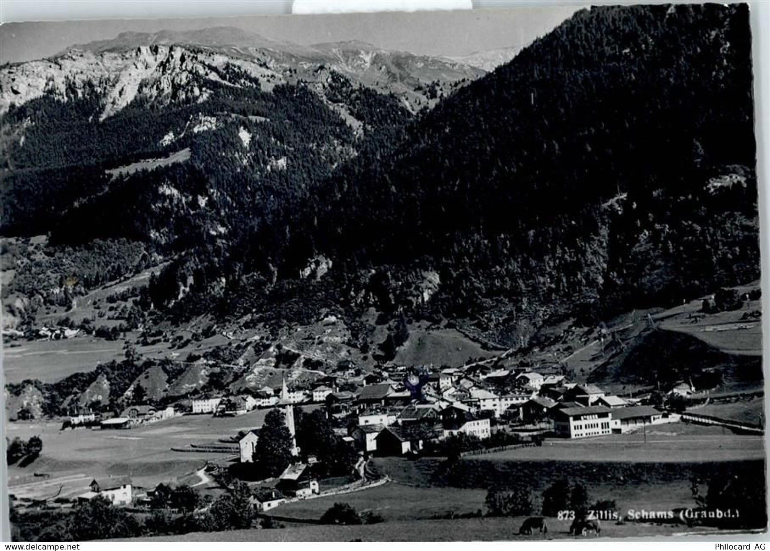 7432 Zillis-Reischen - Gesamtansicht - 50799655